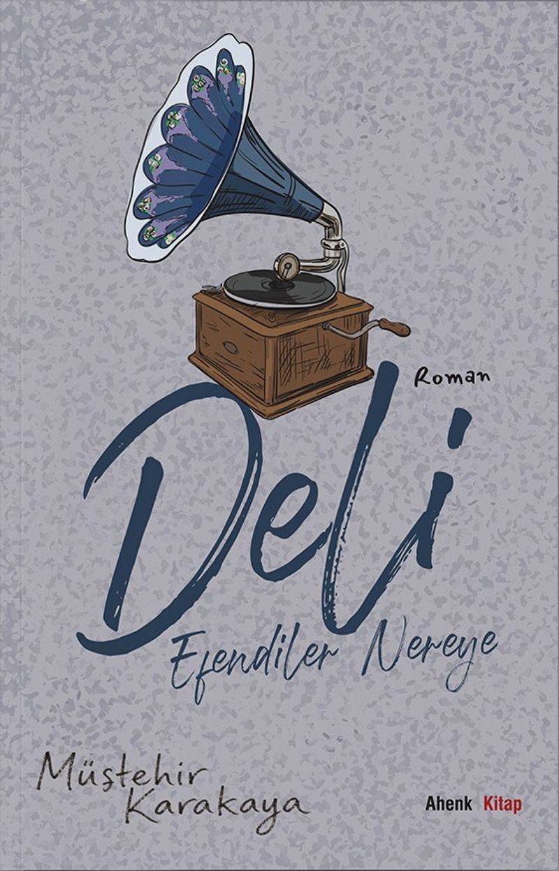 Deli Efendiler Nereye? kitap kapağı