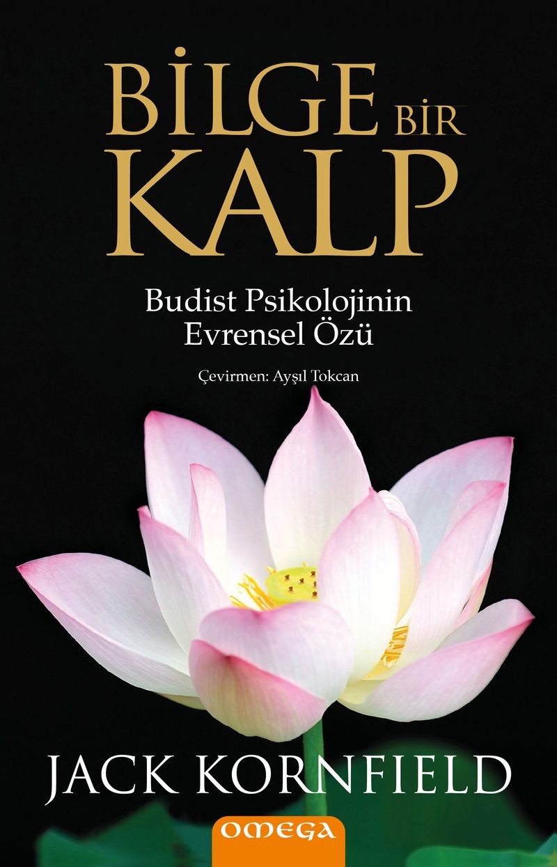Bilge Bir Kalp kitap kapağı