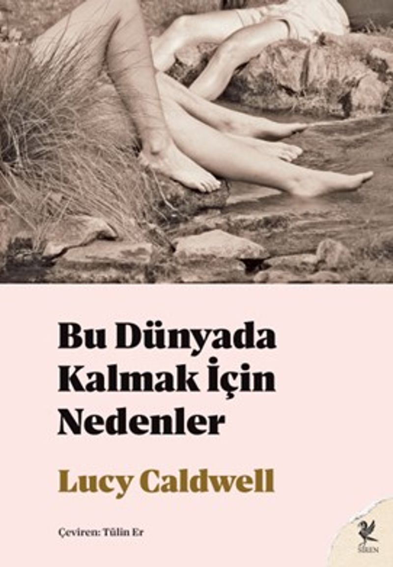 Bu Dünyada Kalmak İçin Nedenler kitap kapağı