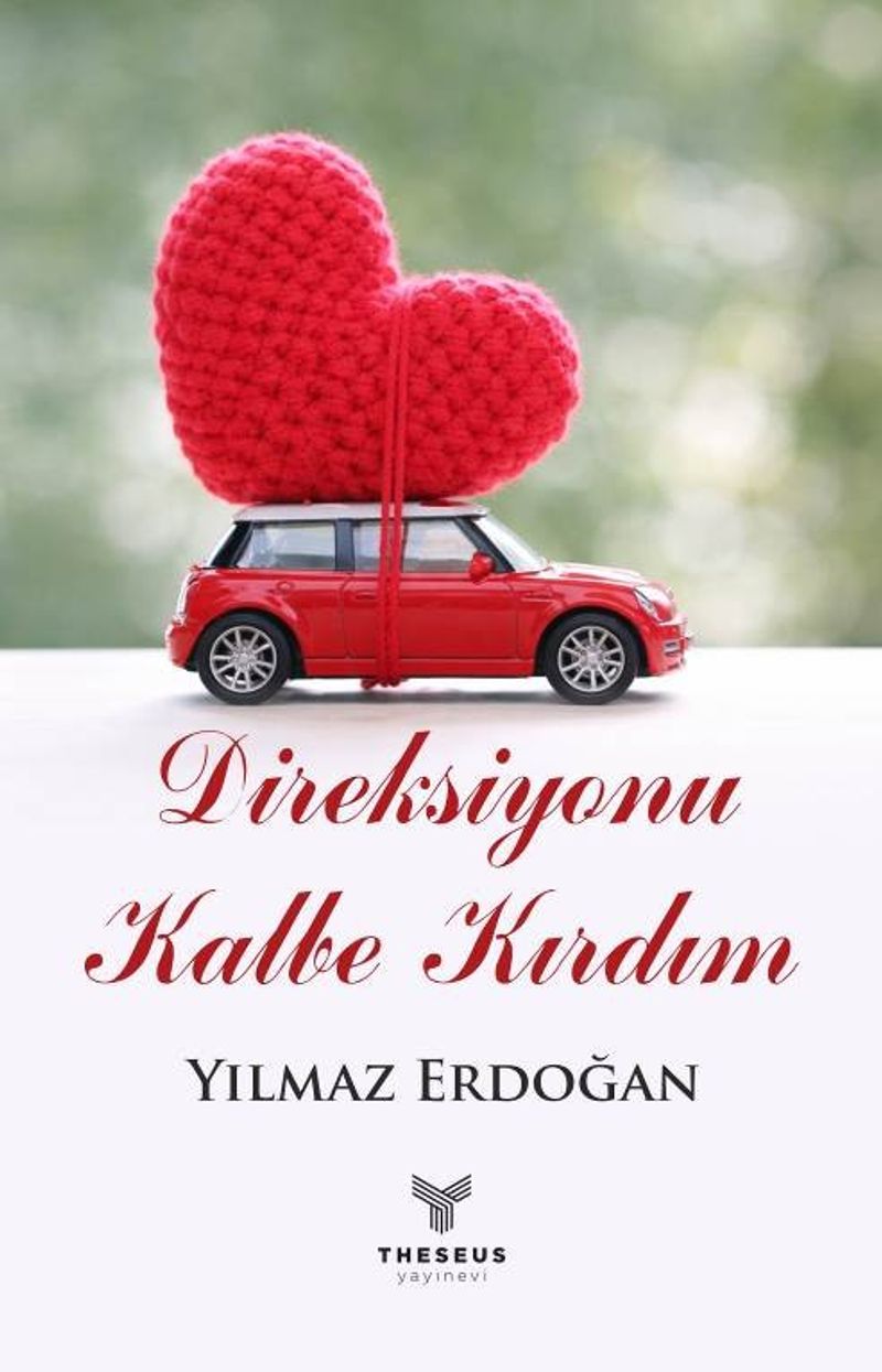 Direksiyonu Kalbe Kırdım kitap kapağı