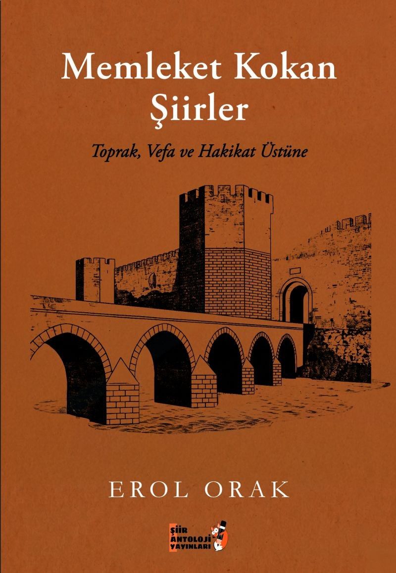 Memleket Kokan Şiirler kitap kapağı