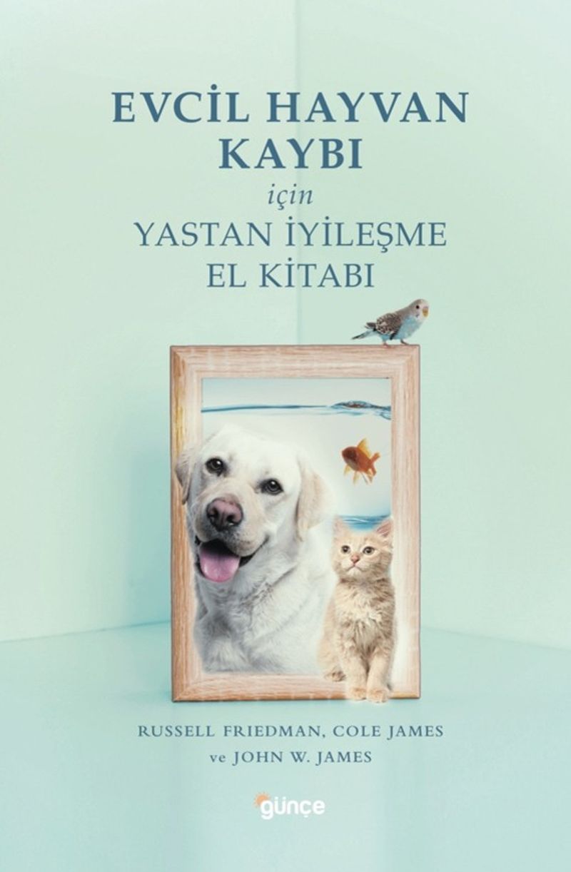 Evcil Hayvan Kaybı İçin Yastan İyileşme kitap kapağı