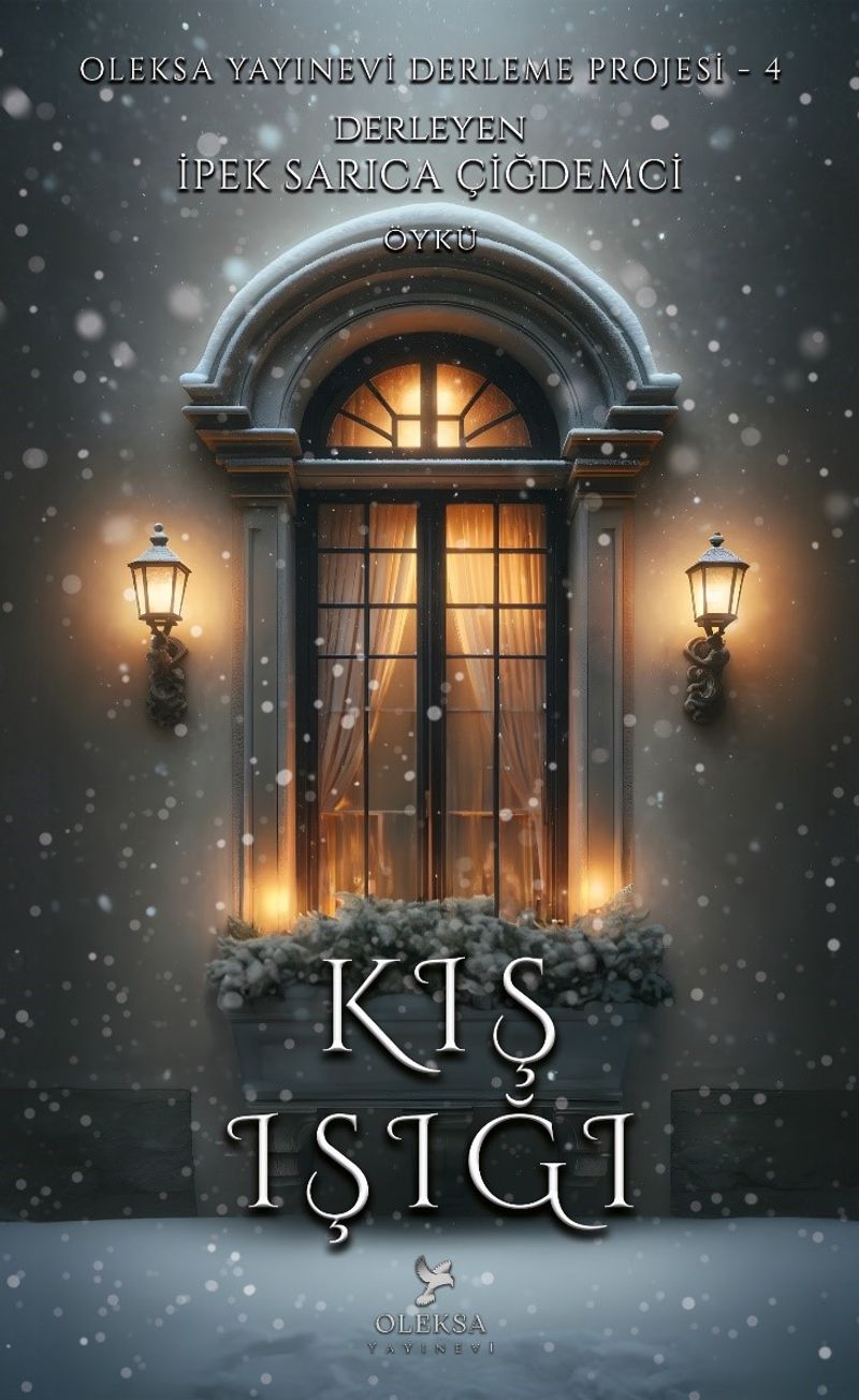 Kış Işığı kitap kapağı