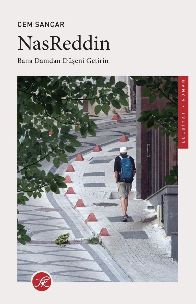 NasReddin Bana Damdan Düşeni Getirin kitap kapağı