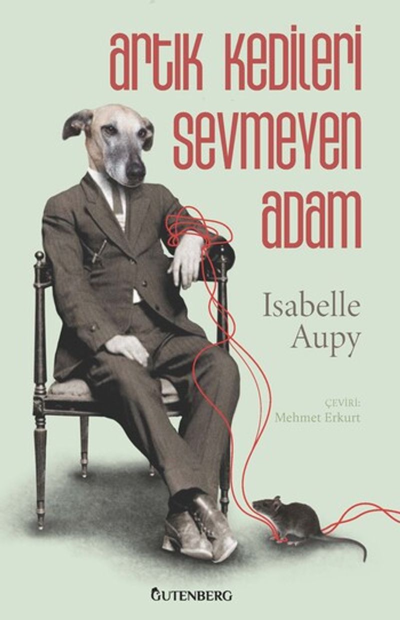 Artık Kedileri Sevmeyen Adam kitap kapağı