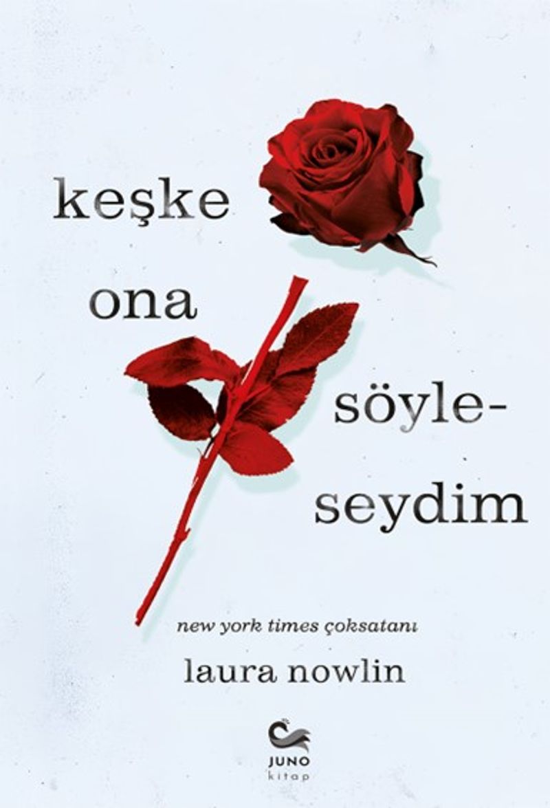 Keşke Ona Söyleseydim kitap kapağı