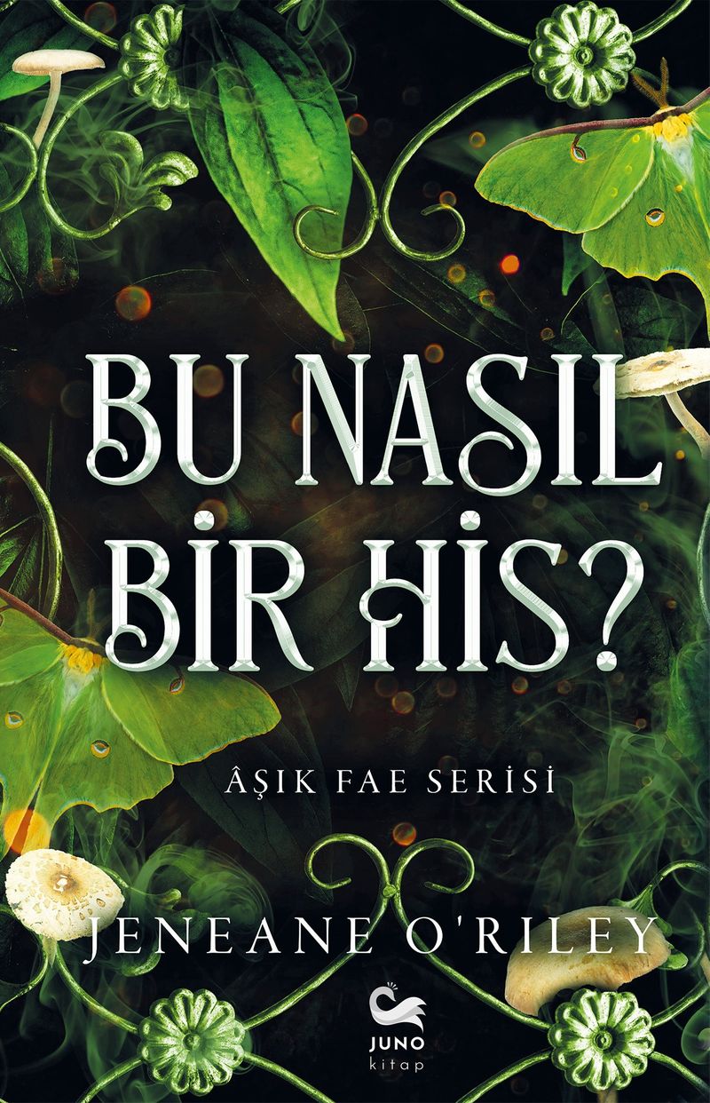 Bu Nasıl Bir His? kitap kapağı
