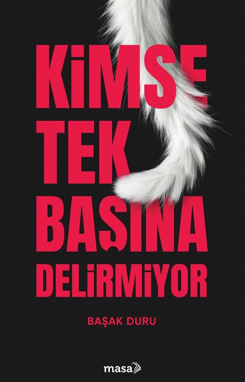 Kimse Tek Başına Delirmiyor kitap kapağı