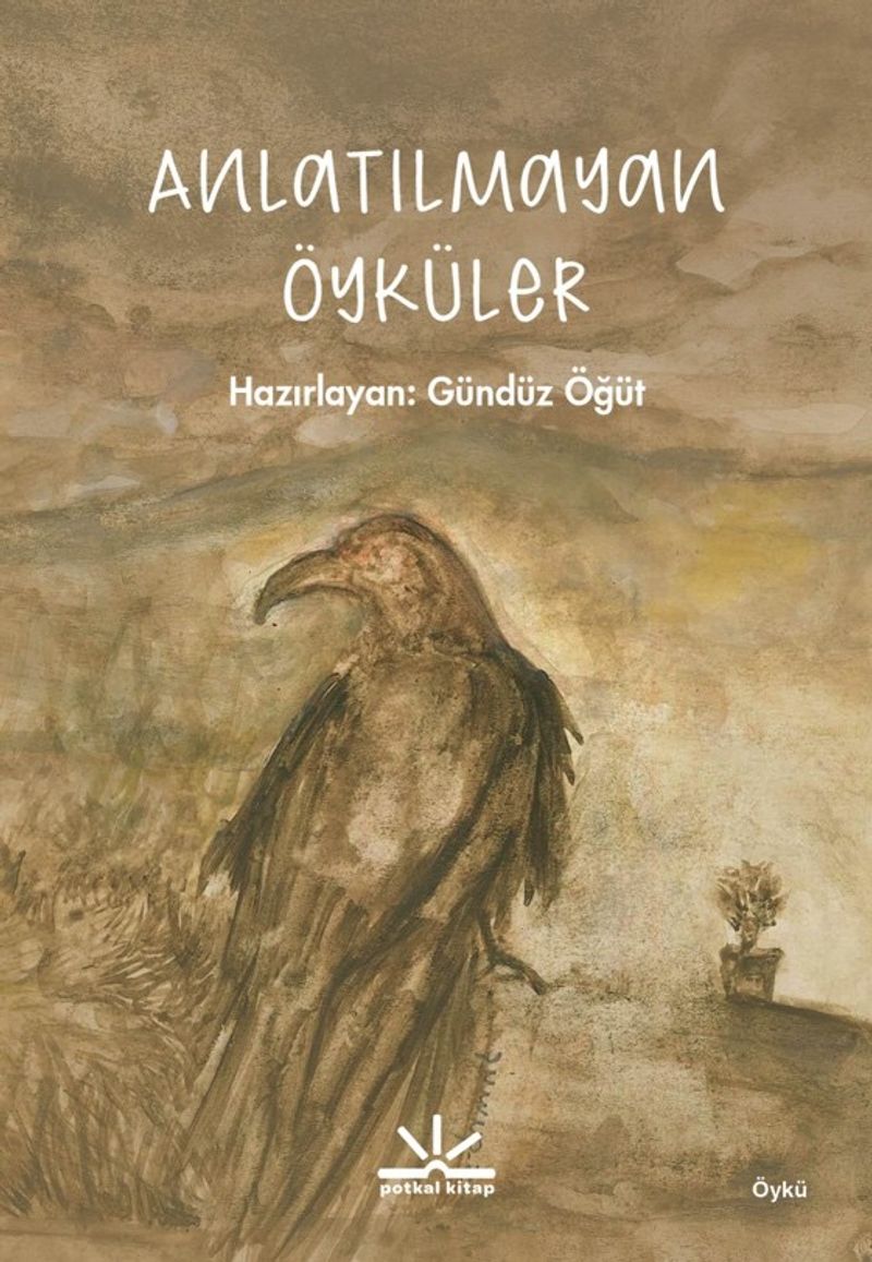 Anlatılmayan Öyküler kitap kapağı