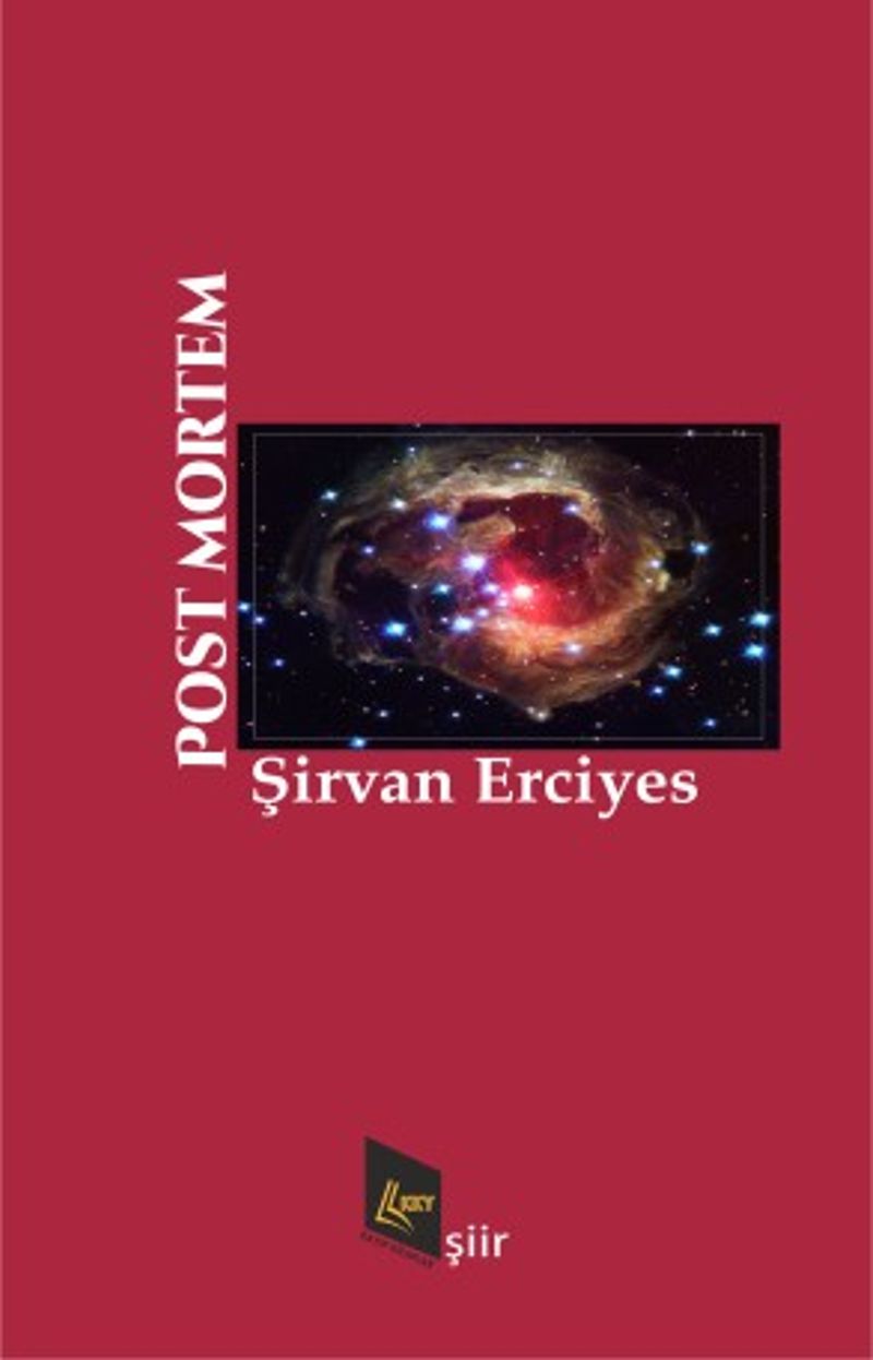 Post Mortem kitap kapağı