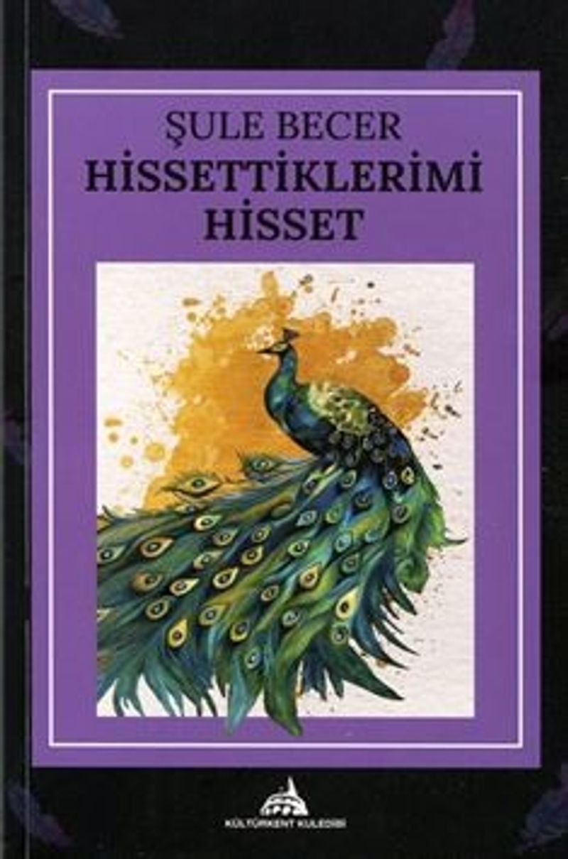 Hissettiklerimi Hisset kitap kapağı