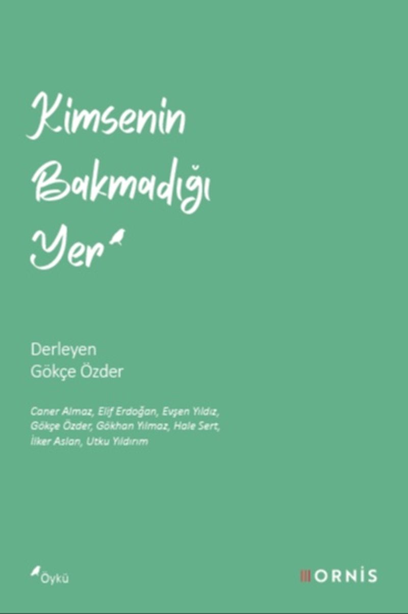 Kimsenin Bakmadığı Yer kitap kapağı