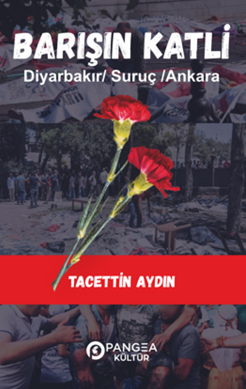 Barışın Katli – Diyarbakır /Suruç/ Ankara kitap kapağı