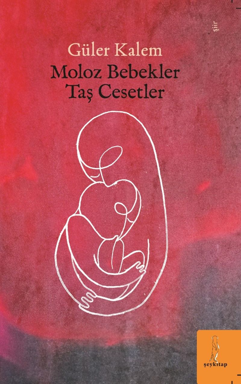 Moloz Bebekler Taş Cesetler kitap kapağı