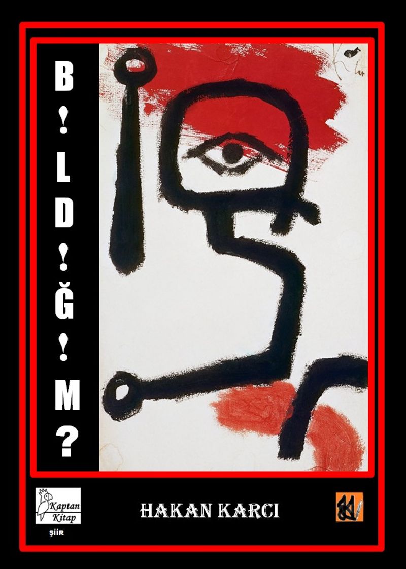 Bildiğim? kitap kapağı