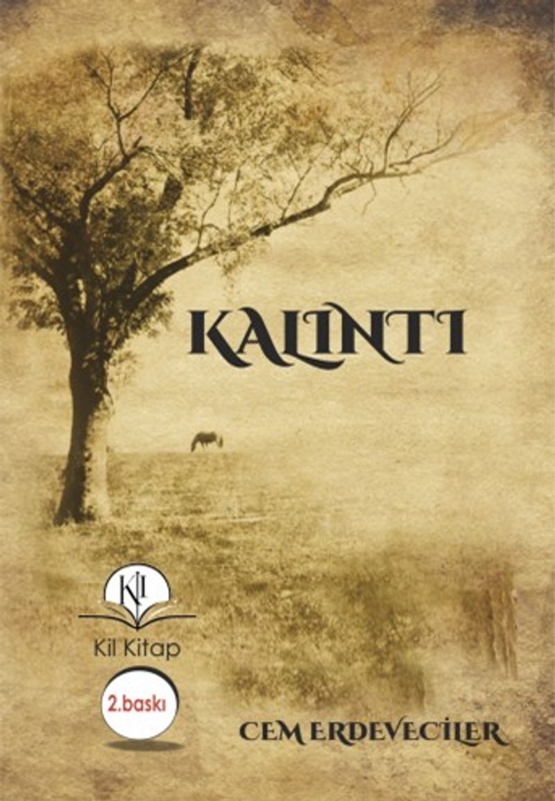 Kalıntı kitap kapağı