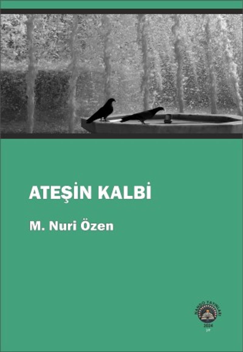 Ateşin Kalbi kitap kapağı
