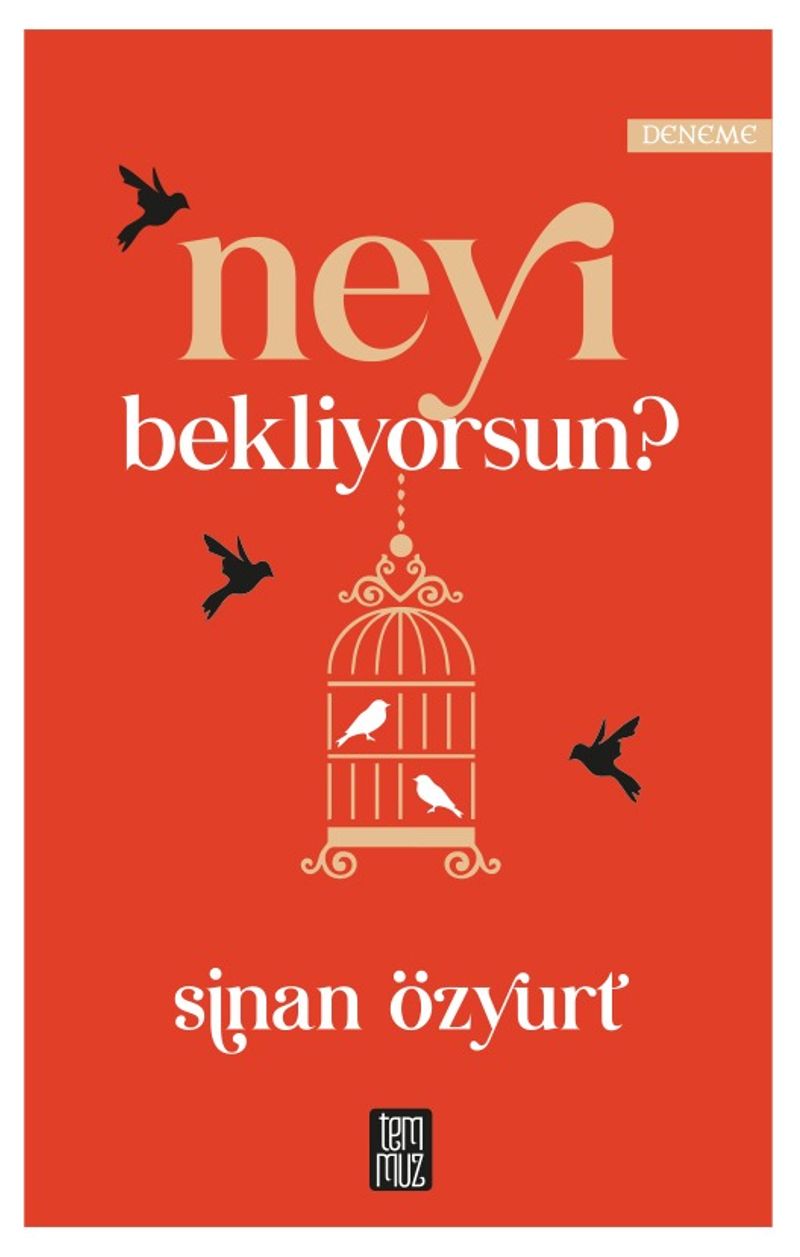 Neyi Bekliyorsun? kitap kapağı