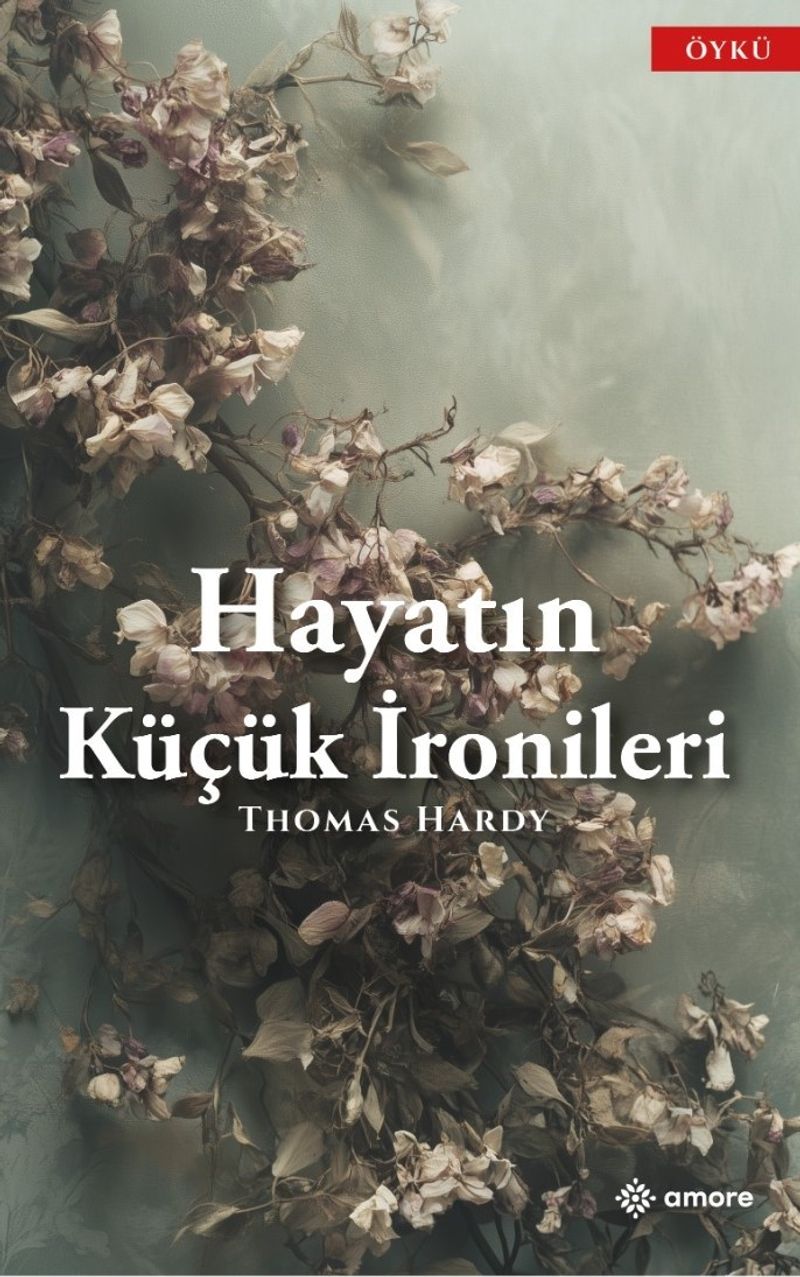 Hayatın Küçük İronileri kitap kapağı