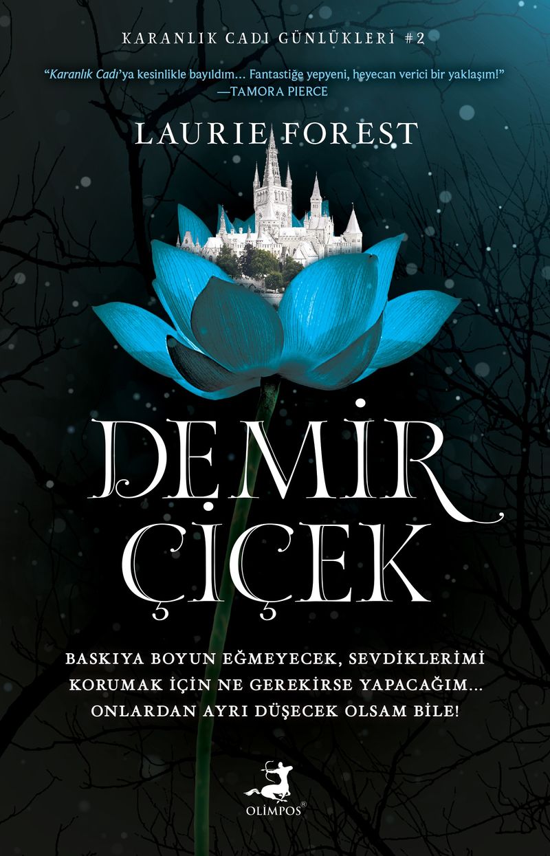 Demir Çiçek (Ciltli) kitap kapağı