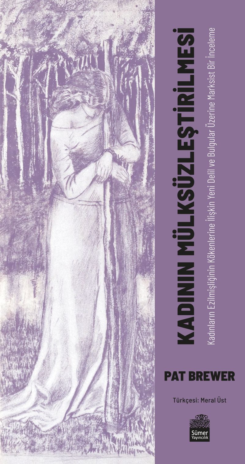 Kadının Mülksüzleştirilmesi Kadınların Ezilmişliğinin Kökenlerine İlişkin Yeni Delil ve Bulgular Üzerine Marksist Bir İnceleme kitap kapağı
