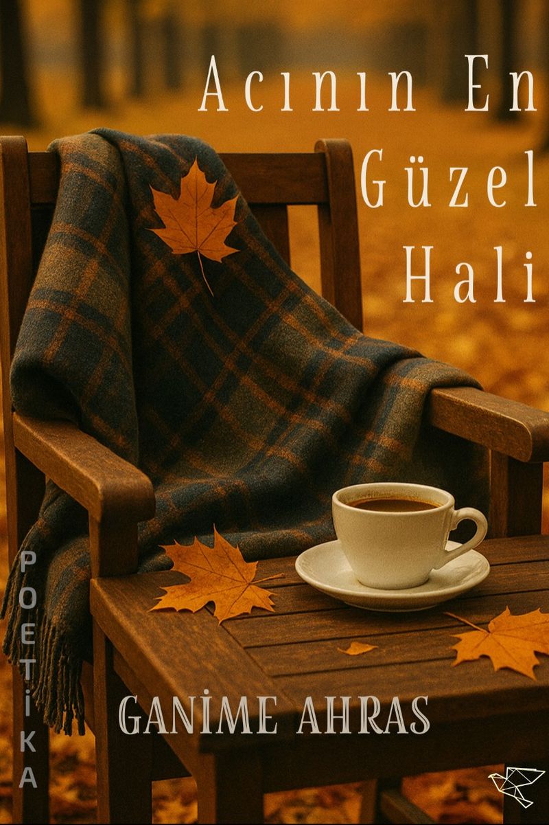 Acının En Güzel Hali kitap kapağı