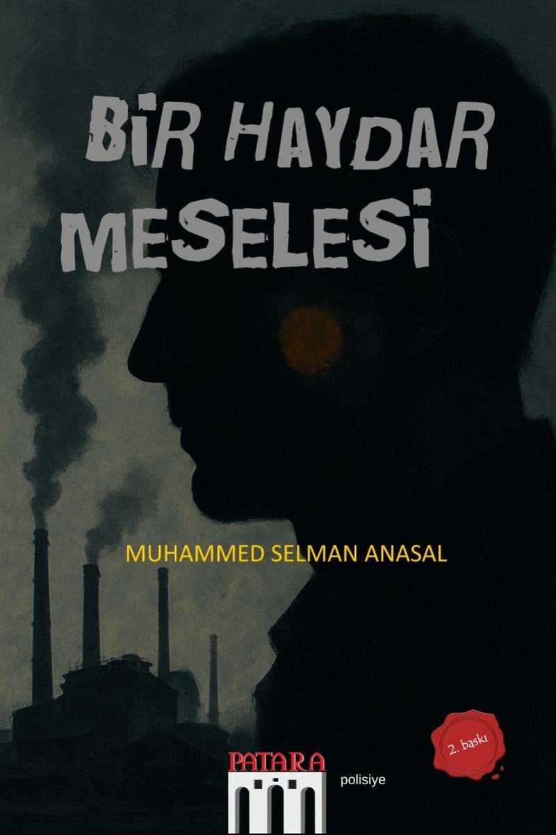 Bir Haydar Meselesi kitap kapağı