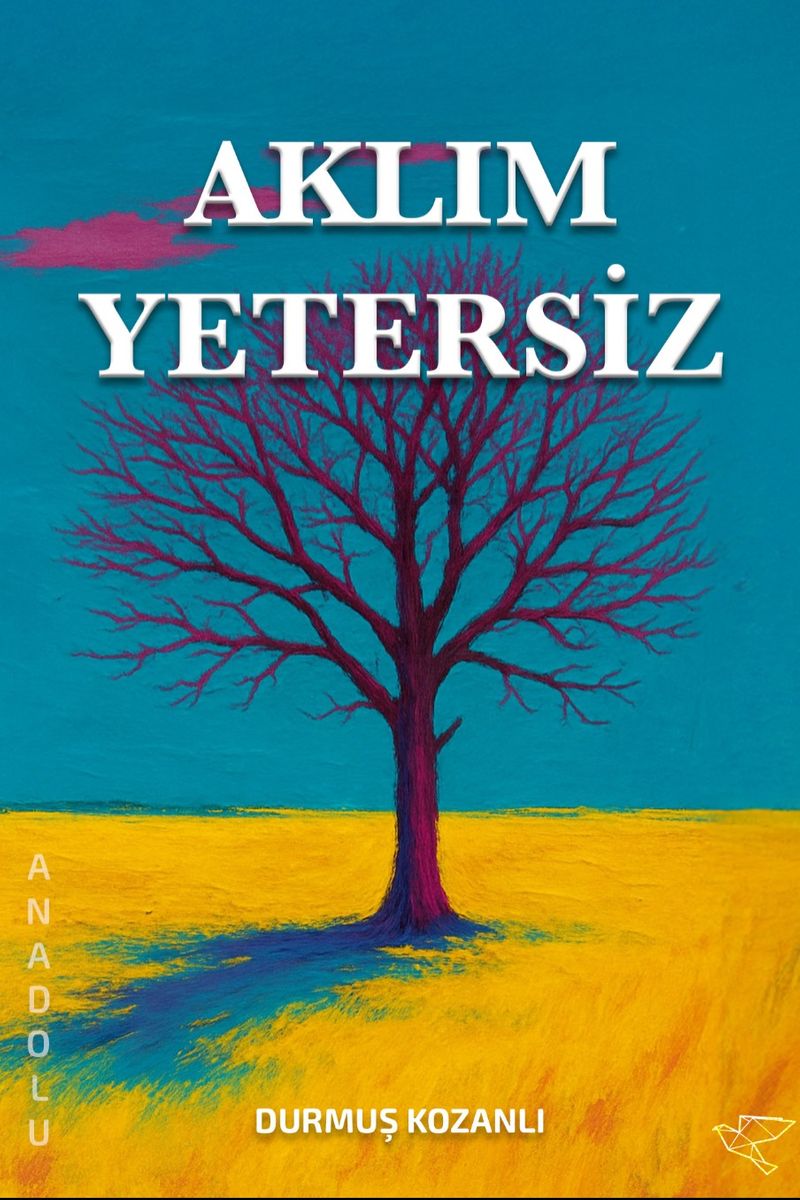 Aklım Yetersiz kitap kapağı