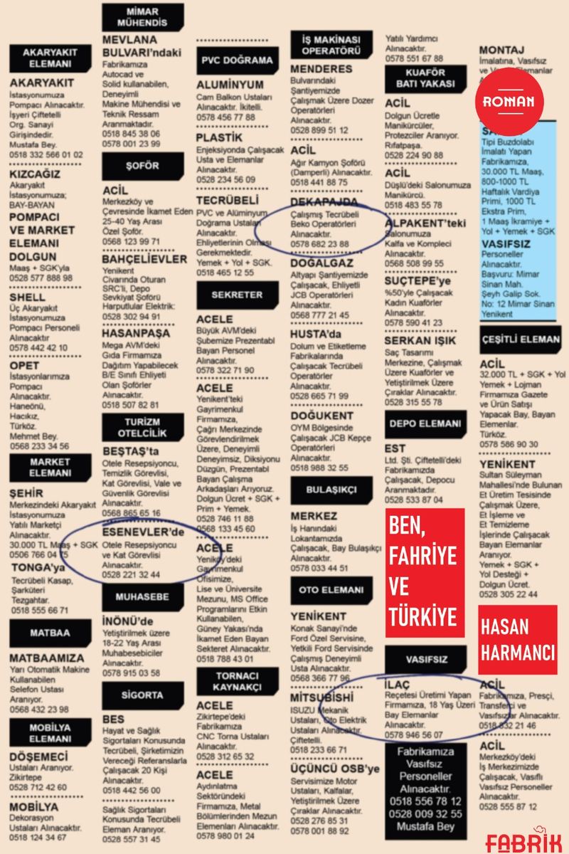 Ben, Fahriye ve Türkiye kitap kapağı