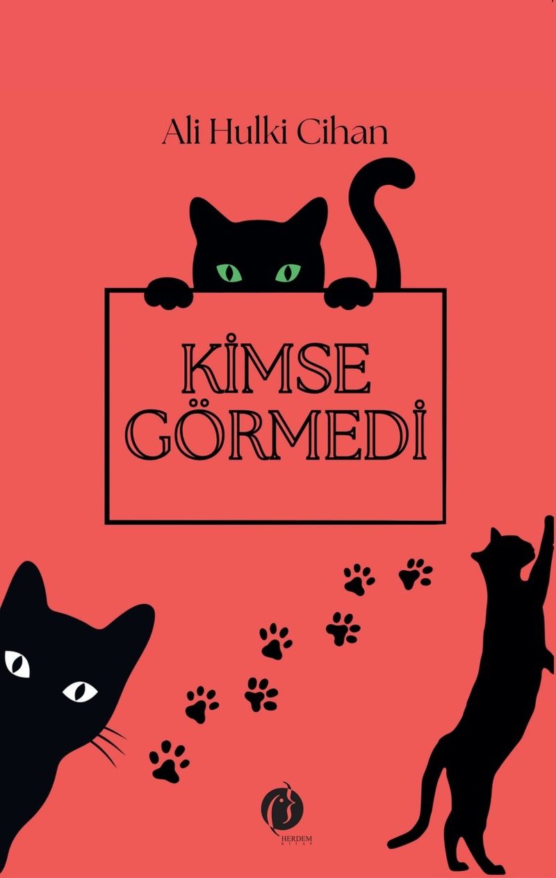 Kimse Görmedi kitap kapağı