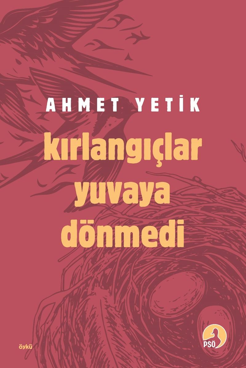 Kırlangıçlar Yuvaya Dönmedi kitap kapağı