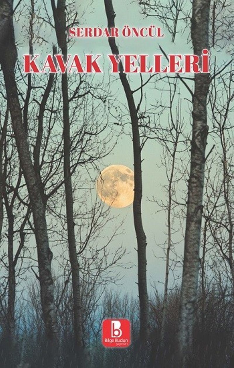 Kavak Yelleri kitap kapağı