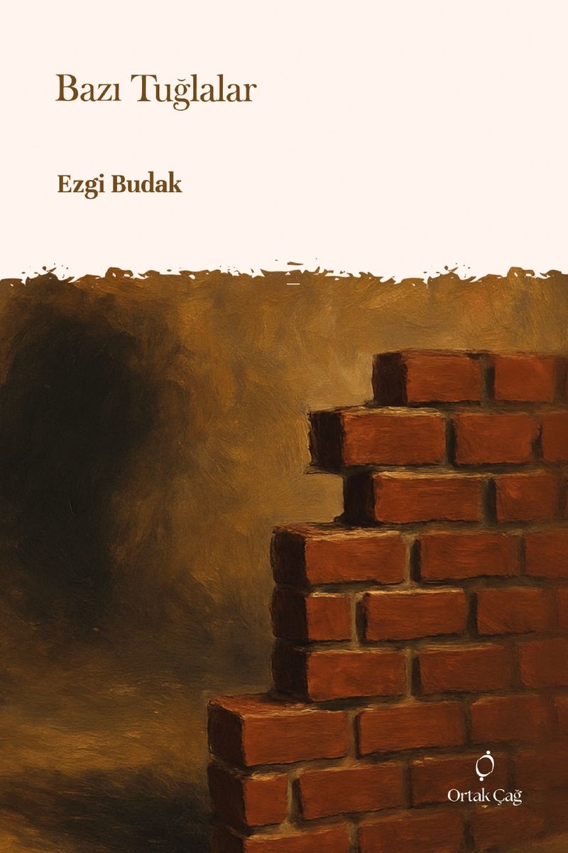 Bazı Tuğlalar kitap kapağı