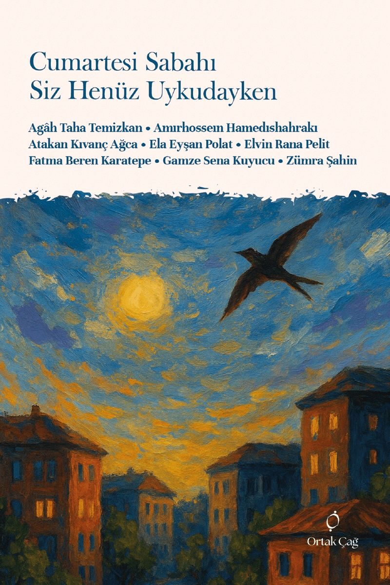 Cumartesi Sabahı Siz Henüz Uykudayken kitap kapağı