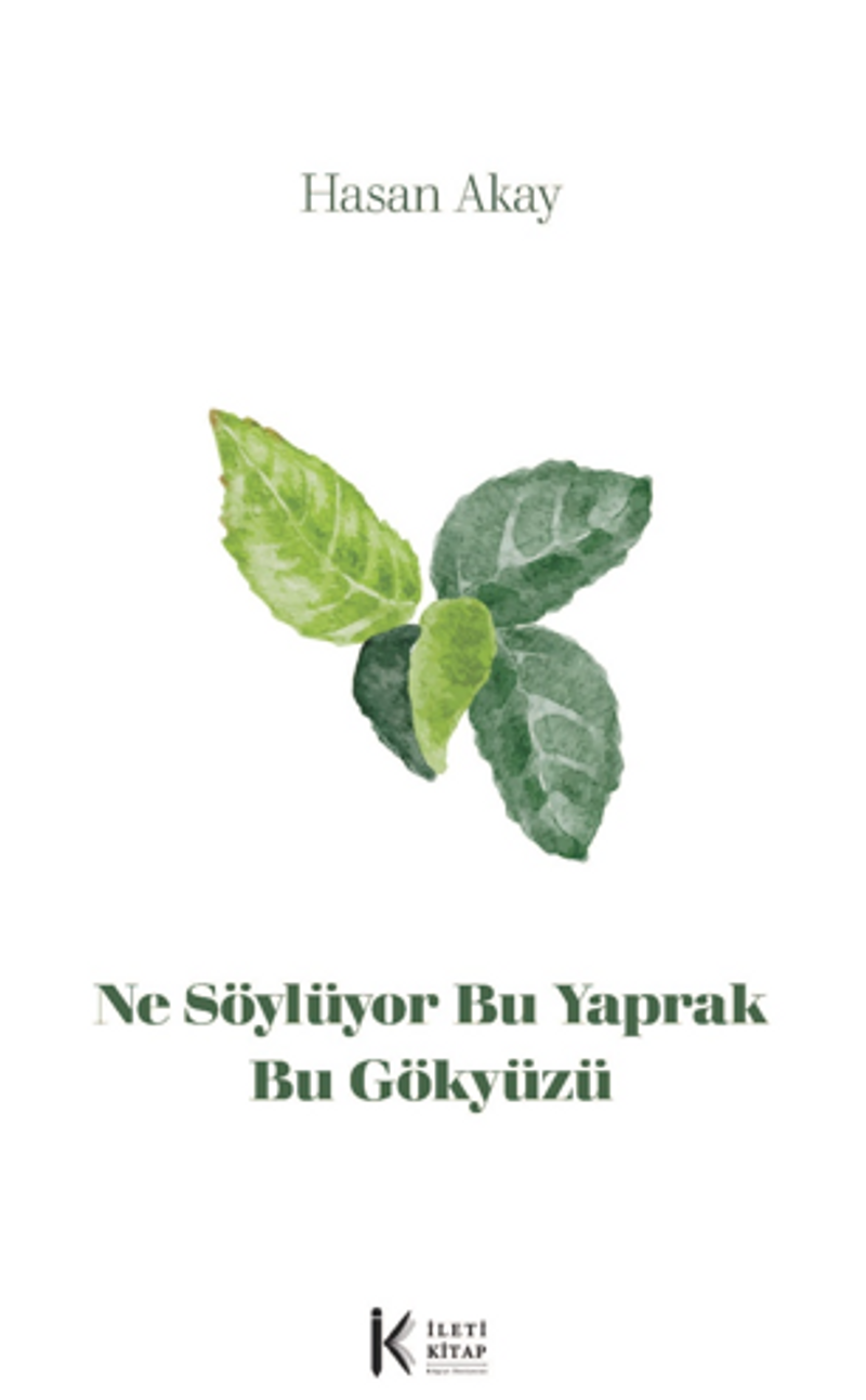 Ne Söylüyor Bu Yaprak Bu Gökyüzü kitap kapağı