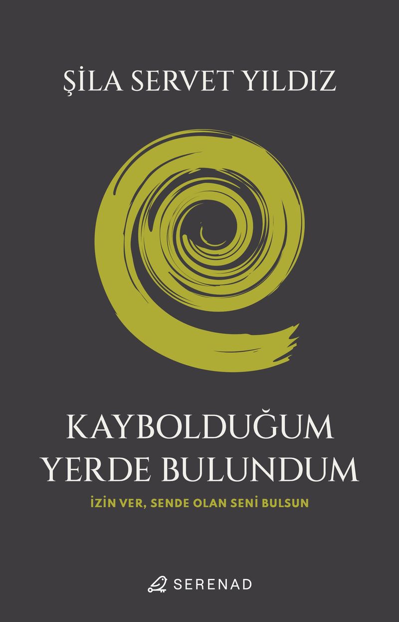 Kaybolduğum Yerde Bulundum kitap kapağı