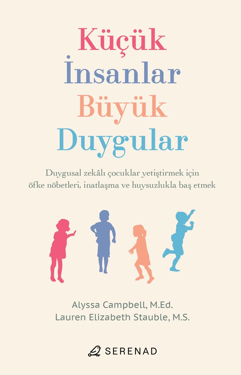 Küçük İnsanlar, Büyük Duygular kitap kapağı