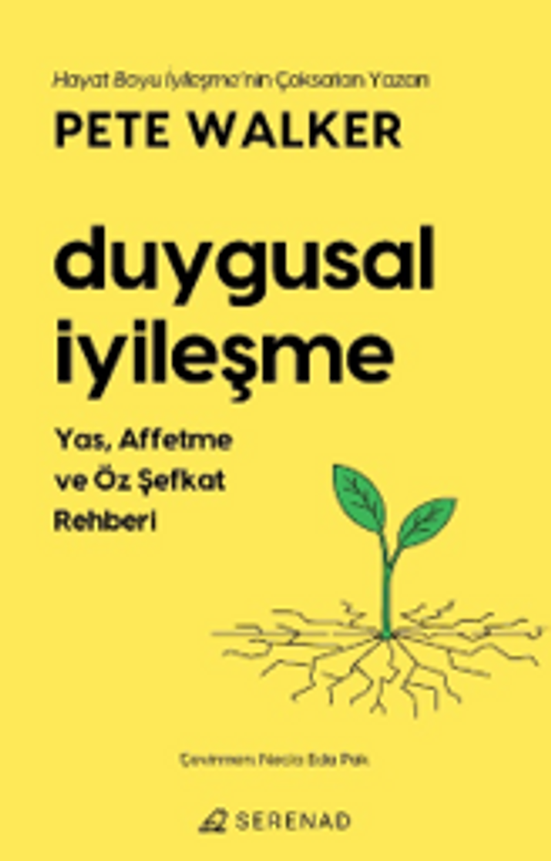 Duygusal İyileşme kitap kapağı