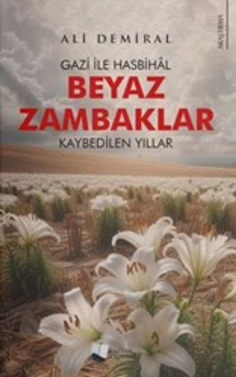 Beyaz Zambaklar Gazi ile Hasbihal - Kaybedilen Yıllar kitap kapağı