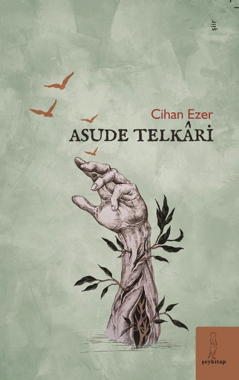 Asude Telkari kitap kapağı