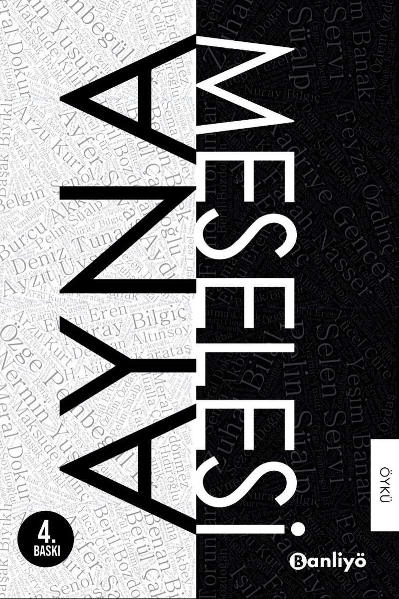 Ayna Meselesi kitap kapağı