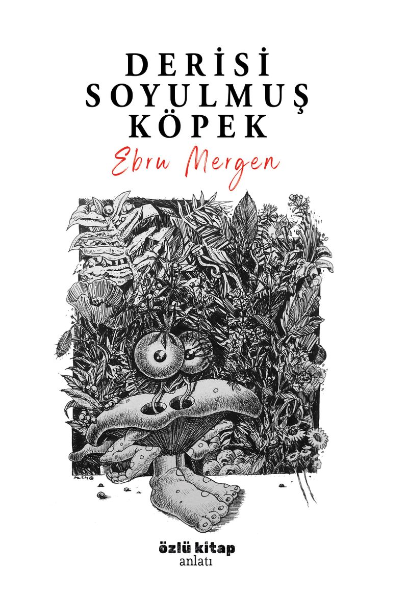 Derisi Soyulmuş Köpek kitap kapağı