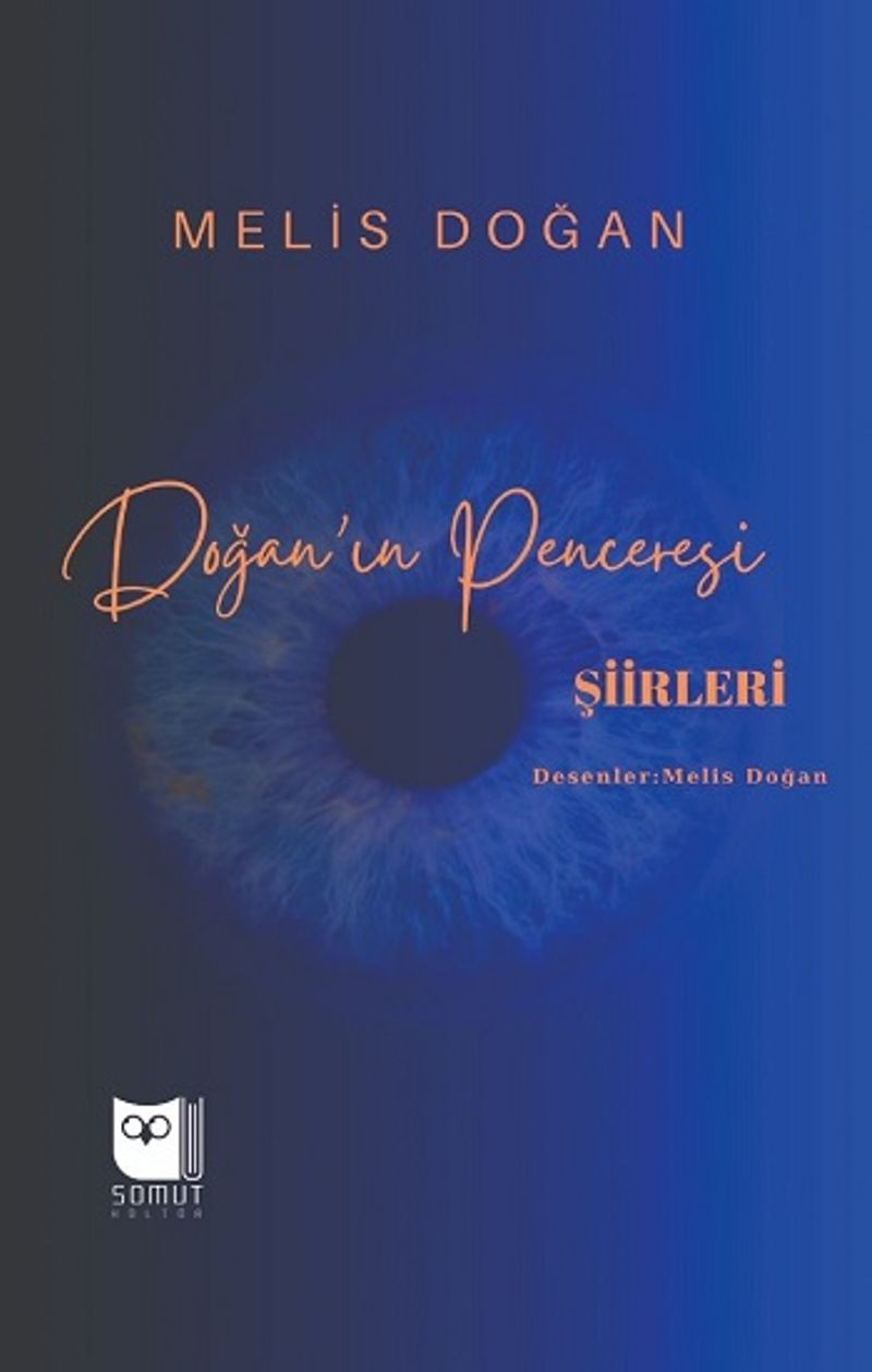 Doğan'ın Penceresi kitap kapağı