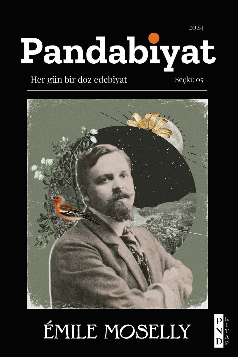 Pandabiyat 05 kitap kapağı