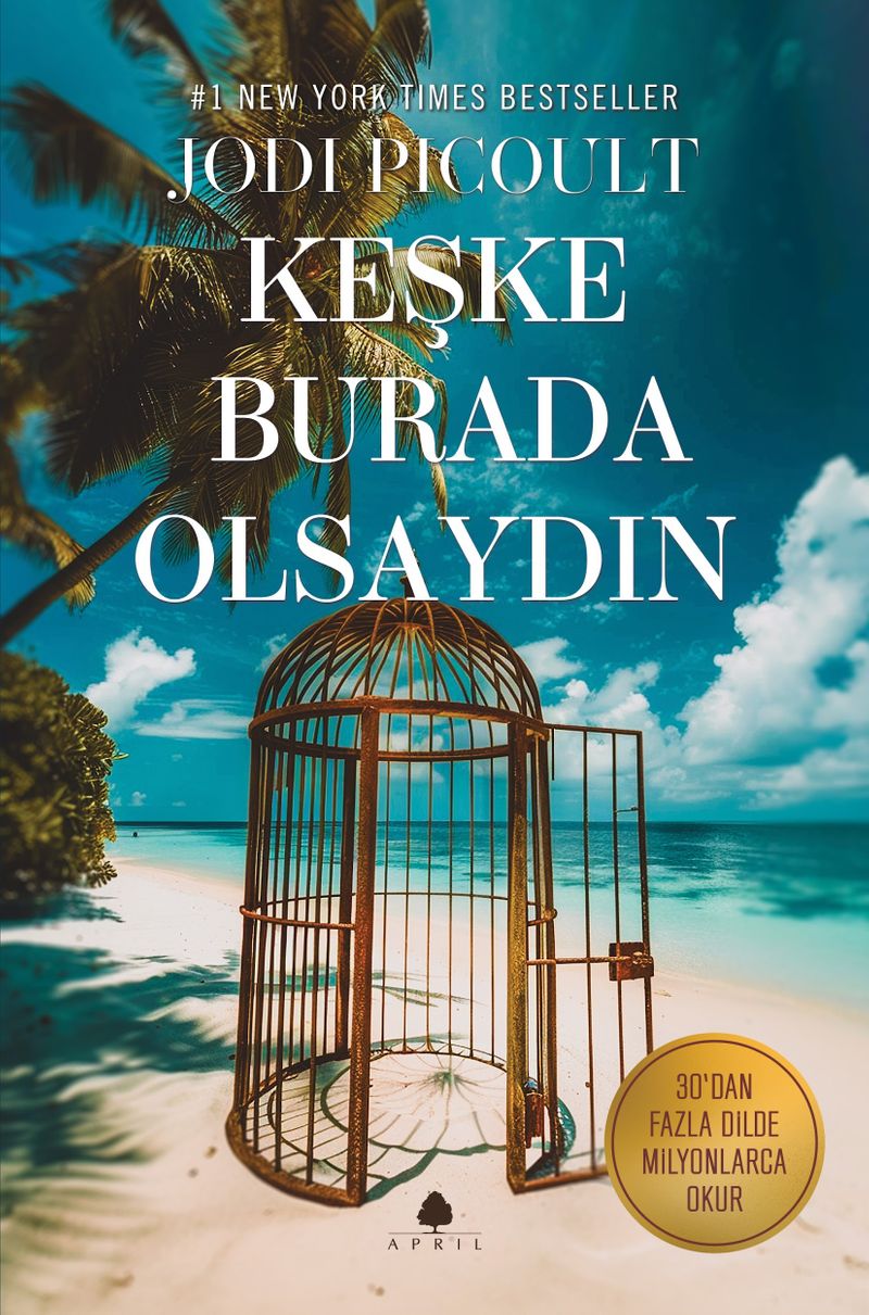 Keşke Burada Olsaydın kitap kapağı