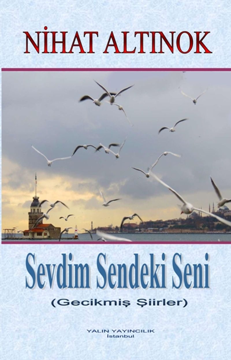 SEVDİM SENDEKİ SENİ kitap kapağı