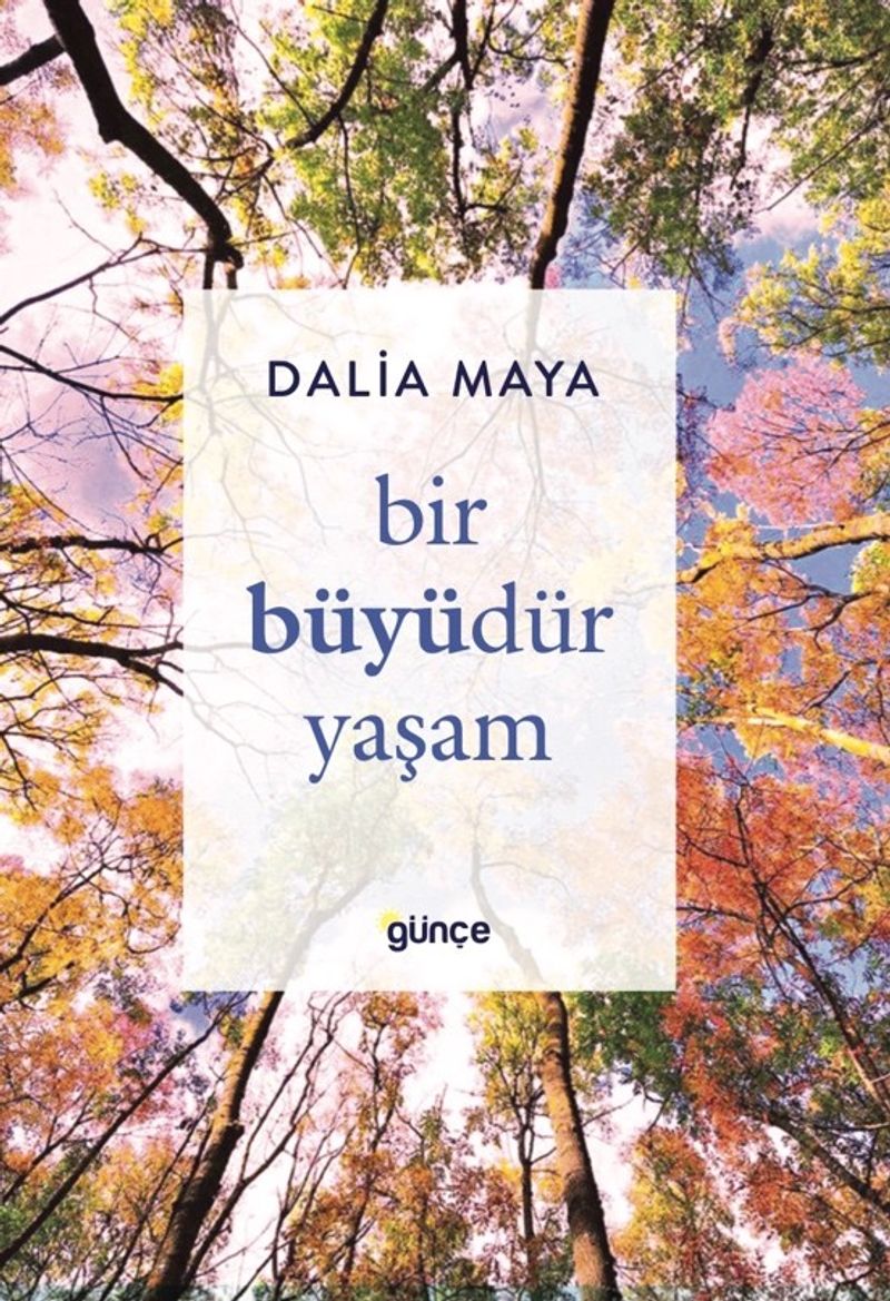 Bir Büyüdür Yaşam kitap kapağı