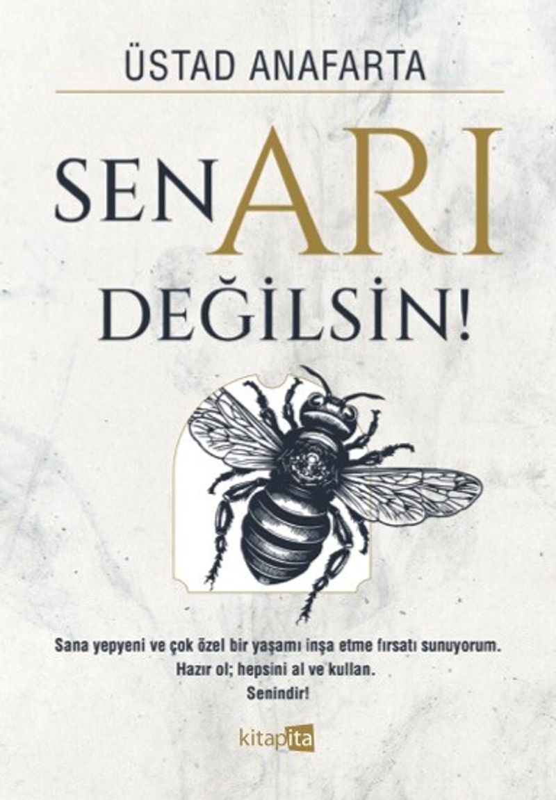 Sen Arı Değilsin kitap kapağı
