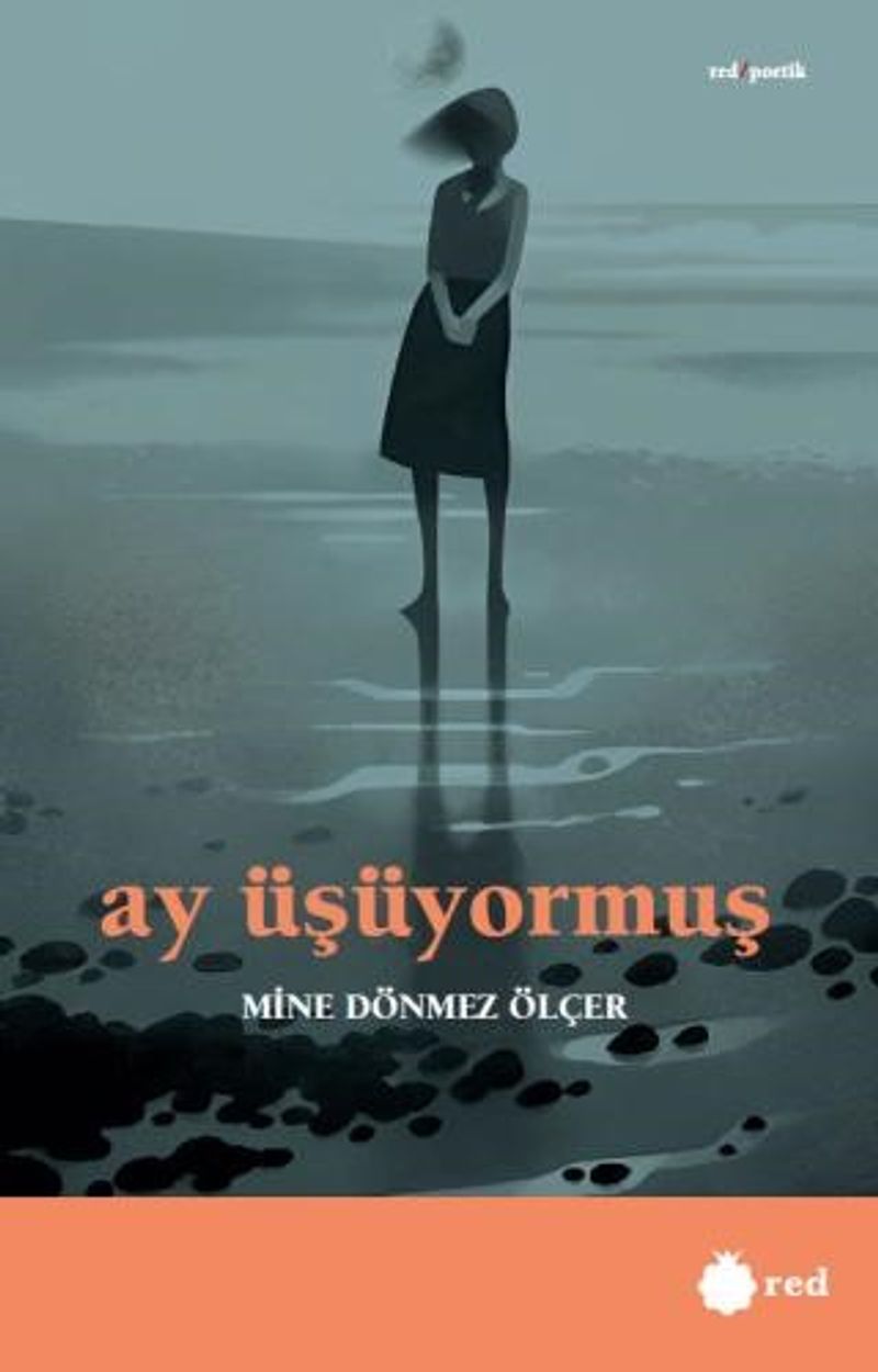 Ay Üşüyormuş kitap kapağı