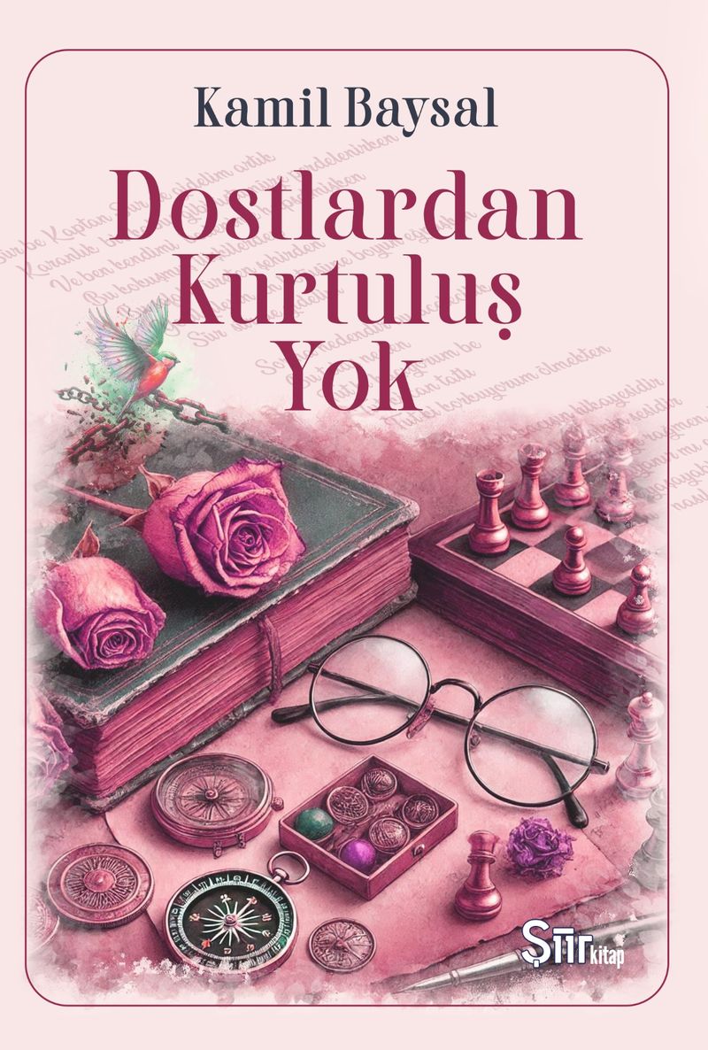 Dostlardan Kurtuluş Yok kitap kapağı